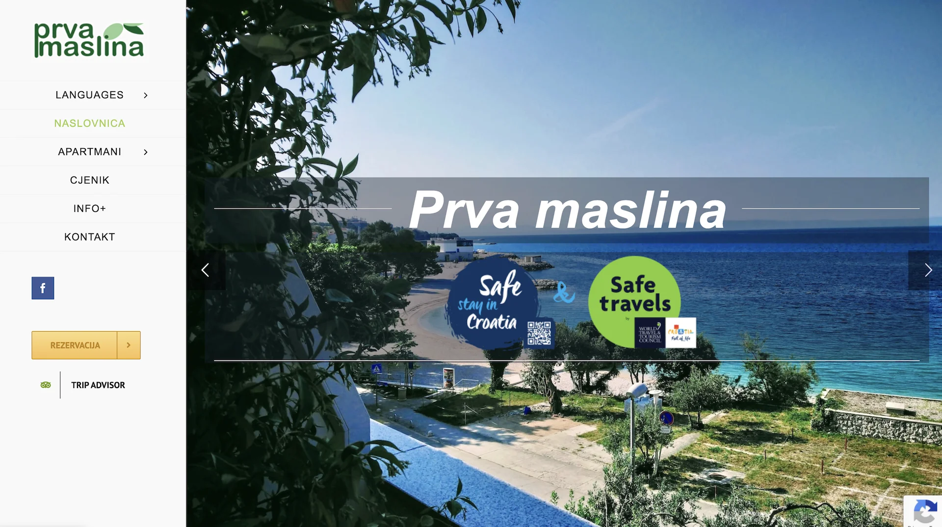 Prva maslina
